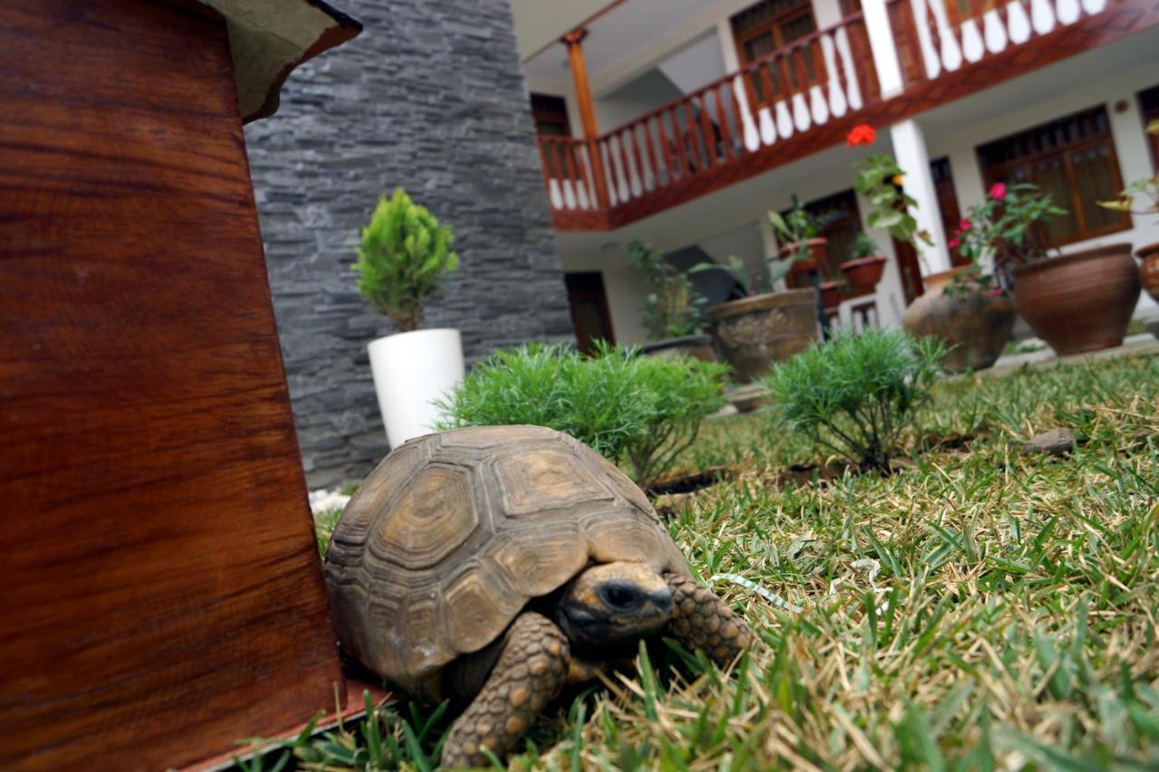 Posada Del Arriero -Hotel Chachapoyas Extérieur photo